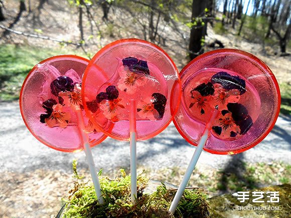把花瓣藏進(jìn)棒棒糖里 賞心悅目的花朵甜點(diǎn)DIY -  rpnrmr.com