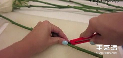 利用虹吸原理DIY制作彩虹玫瑰花的方法教程 -  rpnrmr.com