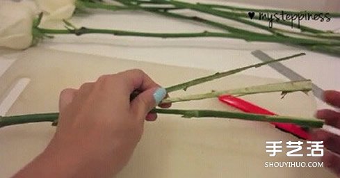 利用虹吸原理DIY制作彩虹玫瑰花的方法教程 -  rpnrmr.com
