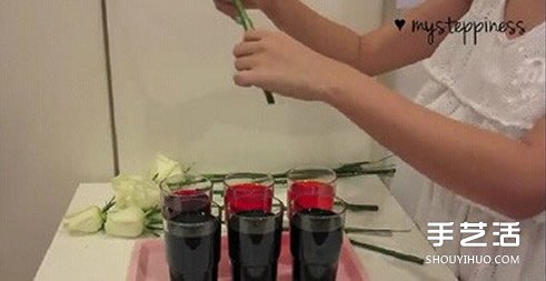 利用虹吸原理DIY制作彩虹玫瑰花的方法教程 -  rpnrmr.com