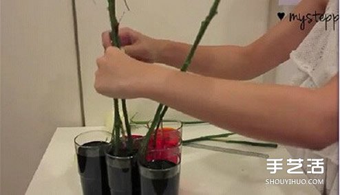 利用虹吸原理DIY制作彩虹玫瑰花的方法教程 -  rpnrmr.com