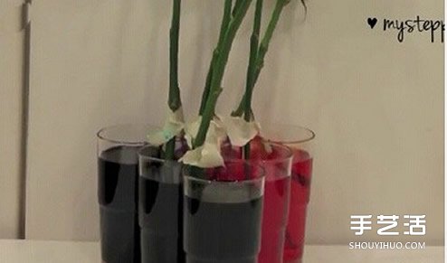 利用虹吸原理DIY制作彩虹玫瑰花的方法教程 -  rpnrmr.com