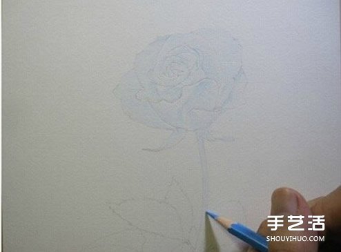 彩鉛玫瑰花的畫法步驟 玫瑰花彩色鉛筆畫教程 -  rpnrmr.com