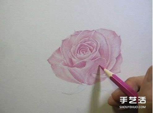 彩鉛玫瑰花的畫法步驟 玫瑰花彩色鉛筆畫教程 -  rpnrmr.com