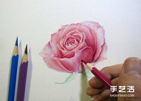 彩鉛玫瑰花的畫法步驟 玫瑰花彩色鉛筆畫教程 -  rpnrmr.com