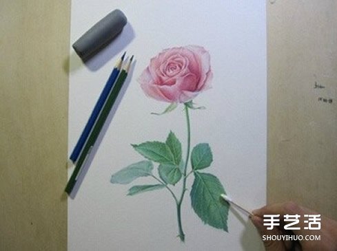 彩鉛玫瑰花的畫法步驟 玫瑰花彩色鉛筆畫教程 -  rpnrmr.com