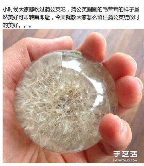透明蒲公英球小飾品DIY制作過程步驟 -  rpnrmr.com