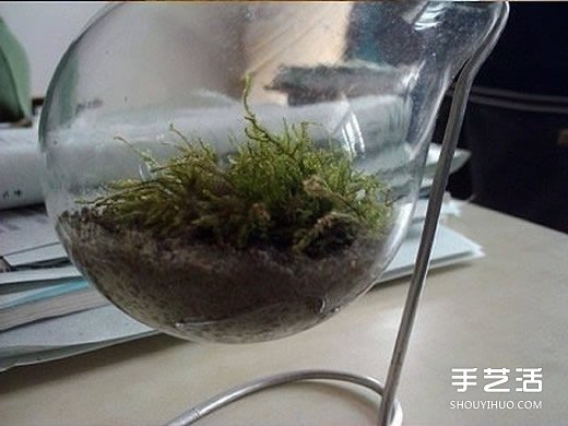 廢燈泡創(chuàng)意DIY 制作迷你多肉植物盆景的教程 -  rpnrmr.com