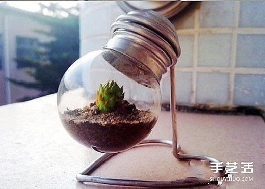廢燈泡創(chuàng)意DIY 制作迷你多肉植物盆景的教程 -  rpnrmr.com