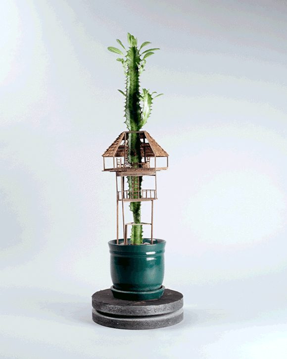 盆栽上DIY精致樹(shù)屋模型 小人國(guó)般的微型建筑 -  rpnrmr.com