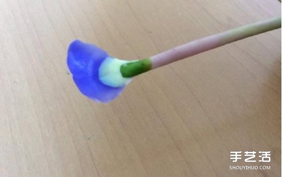 超輕粘土花教程 手工制作超輕粘土花朵教程圖片 -  rpnrmr.com