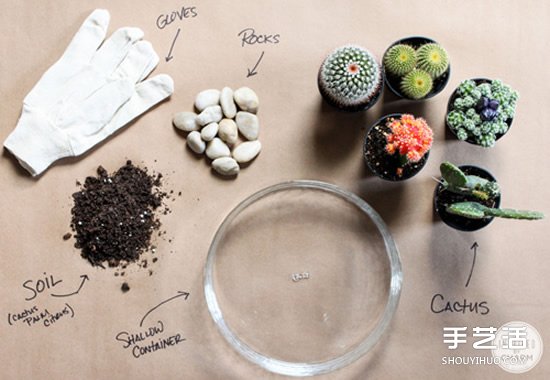 自制仙人掌盆景的方法 簡單仙人掌盆栽DIY教程 -  rpnrmr.com