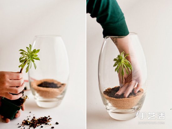 手工制作迷你植物盆景 創(chuàng)造自己的小小王國 -  rpnrmr.com