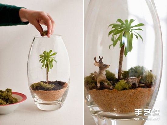 手工制作迷你植物盆景 創(chuàng)造自己的小小王國 -  rpnrmr.com