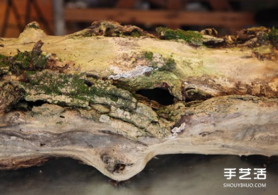 枯木廢物利用DIY花盆 制作森林系插花裝飾 -  rpnrmr.com