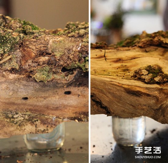 枯木廢物利用DIY花盆 制作森林系插花裝飾 -  rpnrmr.com