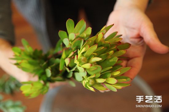 枯木廢物利用DIY花盆 制作森林系插花裝飾 -  rpnrmr.com