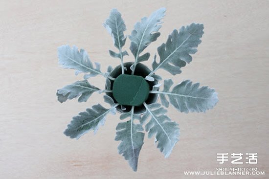 簡易插花入門教程圖解 所用花器是廢舊圣杯~ -  rpnrmr.com