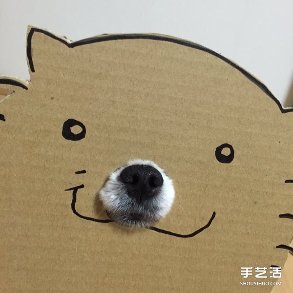 厚紙板+狗鼻=寵物變身 看主人怎么惡搞小可愛 -  rpnrmr.com