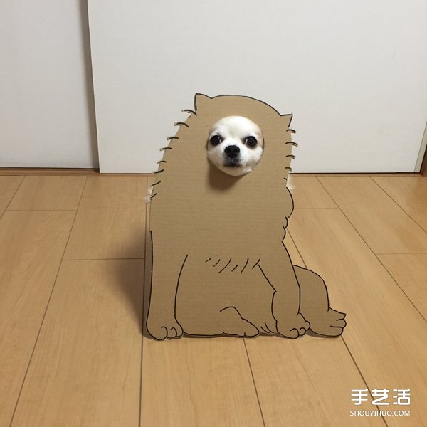 厚紙板+狗鼻=寵物變身 看主人怎么惡搞小可愛 -  rpnrmr.com