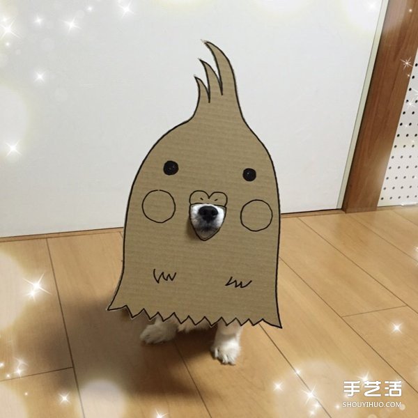 厚紙板+狗鼻=寵物變身 看主人怎么惡搞小可愛 -  rpnrmr.com