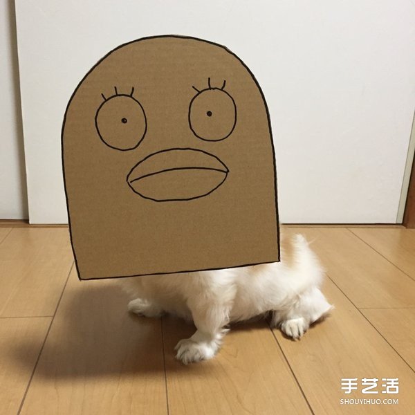 厚紙板+狗鼻=寵物變身 看主人怎么惡搞小可愛 -  rpnrmr.com