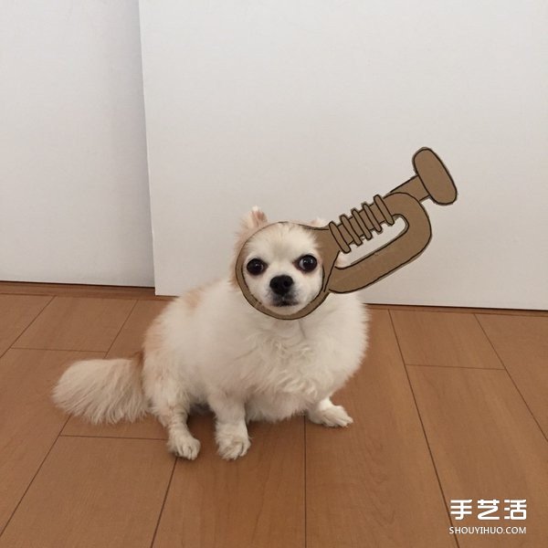 厚紙板+狗鼻=寵物變身 看主人怎么惡搞小可愛 -  rpnrmr.com