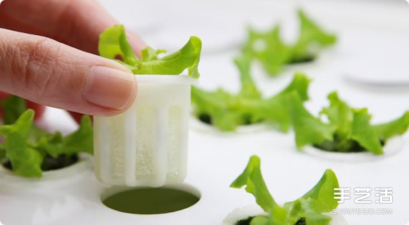 讓你在家也能輕松種菜的小型室內(nèi)菜圃 foop -  rpnrmr.com