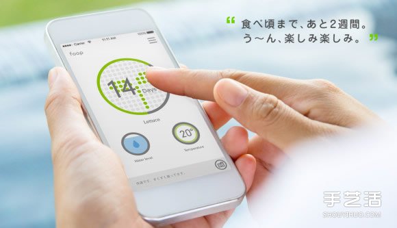 讓你在家也能輕松種菜的小型室內(nèi)菜圃 foop -  rpnrmr.com