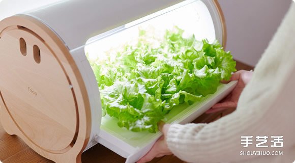 讓你在家也能輕松種菜的小型室內(nèi)菜圃 foop -  rpnrmr.com