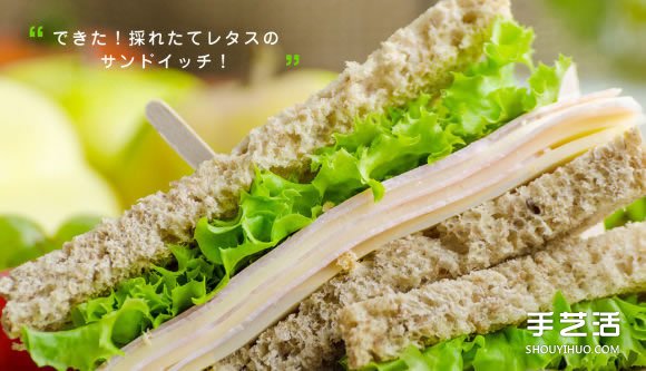 讓你在家也能輕松種菜的小型室內(nèi)菜圃 foop -  rpnrmr.com