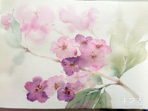 水彩畫畫花的步驟圖片 花朵水彩畫的技法教程 -  rpnrmr.com