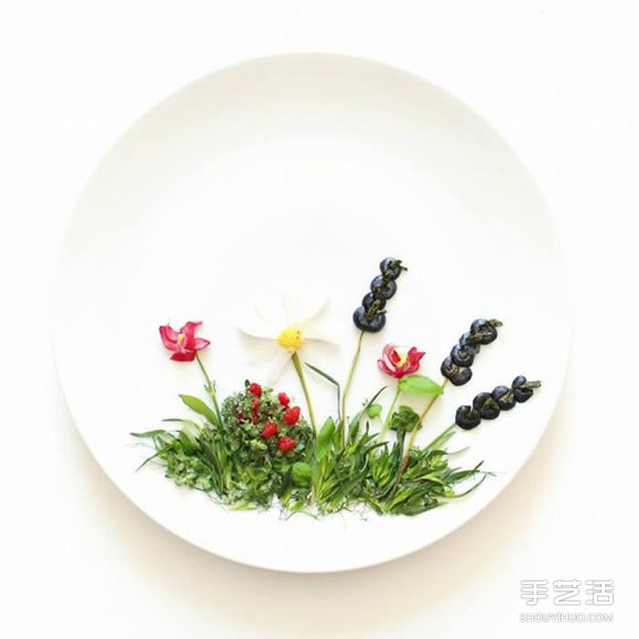 盤子上的藝術(shù)創(chuàng)作 創(chuàng)意DIY讓食材擺出美麗圖案 -  rpnrmr.com
