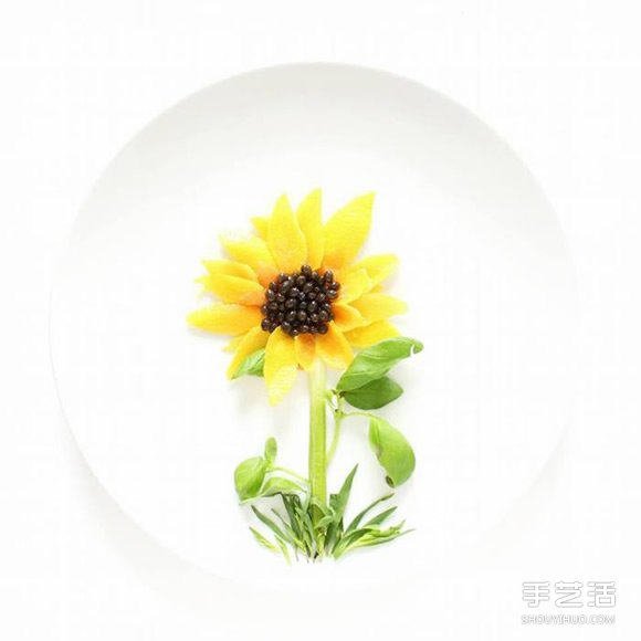 盤子上的藝術(shù)創(chuàng)作 創(chuàng)意DIY讓食材擺出美麗圖案 -  rpnrmr.com
