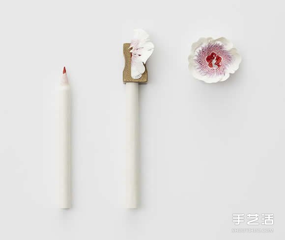 用削鉛筆器DIY出一朵朵永生的美麗紙花朵 -  rpnrmr.com