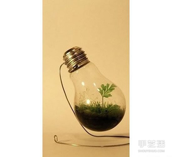 廢舊燈泡制作花盆 DIY迷你盆景的方法步驟 -  rpnrmr.com