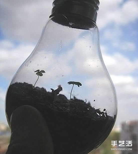 廢舊燈泡制作花盆 DIY迷你盆景的方法步驟 -  rpnrmr.com