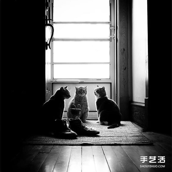 3喵x3汪x3娃：9個(gè)孩子與他們之間百分之百的愛(ài) -  rpnrmr.com