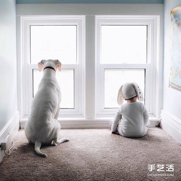 3喵x3汪x3娃：9個(gè)孩子與他們之間百分之百的愛(ài) -  rpnrmr.com