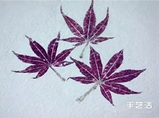 樹葉拓印畫怎么做 自制樹葉拓印畫步驟圖片 -  rpnrmr.com