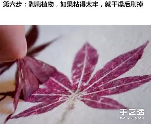 樹葉拓印畫怎么做 自制樹葉拓印畫步驟圖片 -  rpnrmr.com