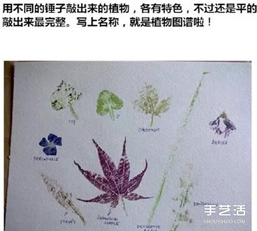 樹葉拓印畫怎么做 自制樹葉拓印畫步驟圖片 -  rpnrmr.com
