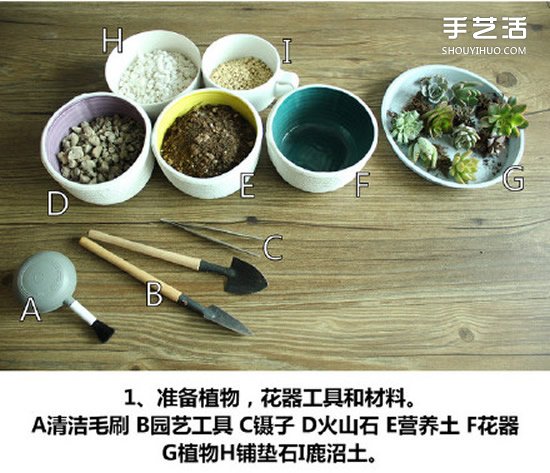 多肉植物種植方法圖解 多肉植物拼盤制作教程 -  rpnrmr.com