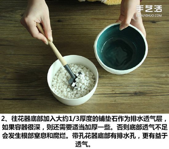 多肉植物種植方法圖解 多肉植物拼盤制作教程 -  rpnrmr.com