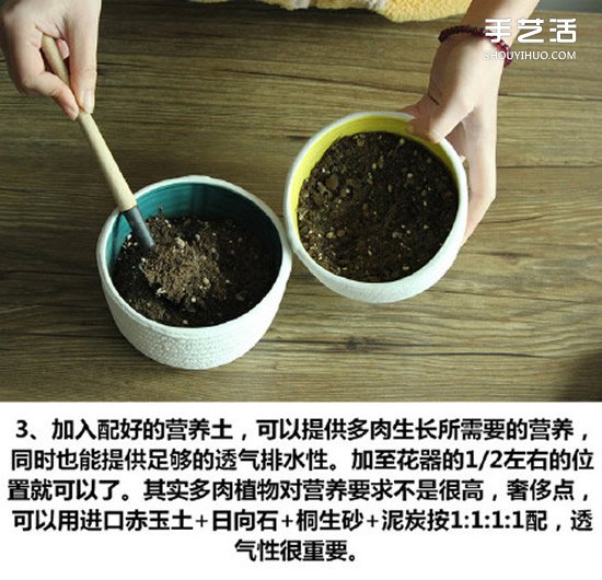 多肉植物種植方法圖解 多肉植物拼盤制作教程 -  rpnrmr.com