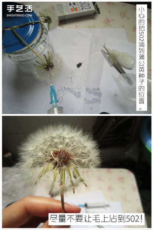 樹脂蒲公英透明飾品手工DIY制作詳細(xì)圖解教程 -  rpnrmr.com
