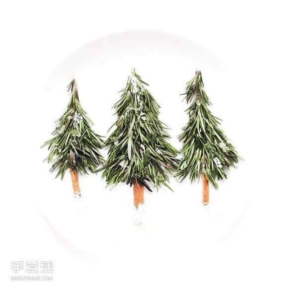 盤子上的藝術(shù) 利用蔬果廚余創(chuàng)作的烹飪畫布 -  rpnrmr.com