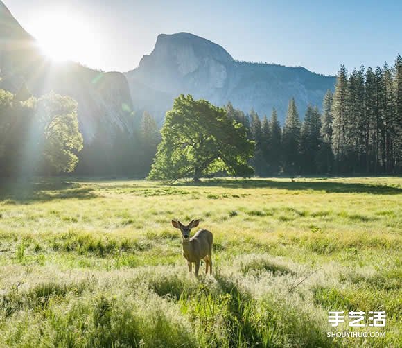 五招跟著旅行攝影師學(xué)攝影 拍出明信片般照片 -  rpnrmr.com