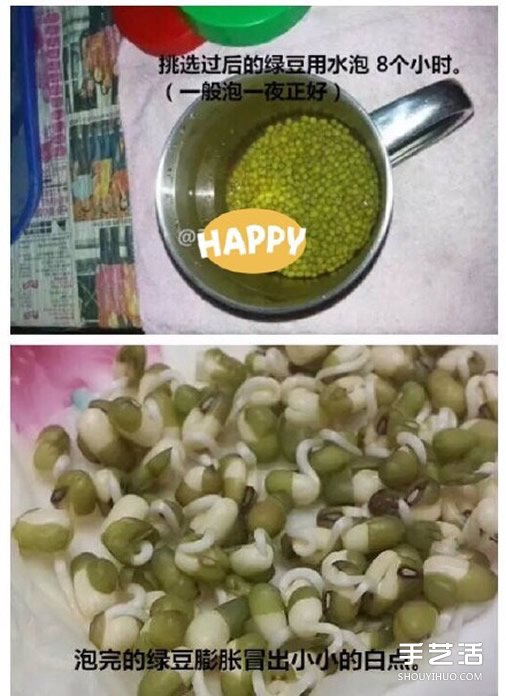 可樂(lè)瓶子種豆芽的方法 家庭種豆芽的簡(jiǎn)單教程 -  rpnrmr.com