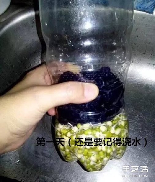 可樂(lè)瓶子種豆芽的方法 家庭種豆芽的簡(jiǎn)單教程 -  rpnrmr.com